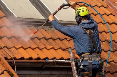 Démoussage et hydrofuge de toiture à Planfoy